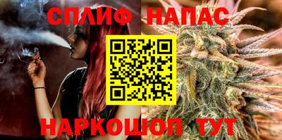 СК Пугачёв