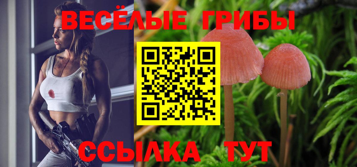 Новый Уренгой  Псилоцибиновые грибы Psilocybe  Вход с VPN 