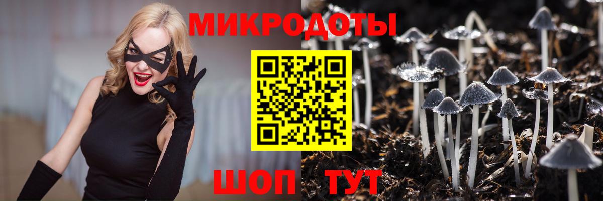 Псилоцибиновые грибы GOLDEN TEACHER Новый Уренгой